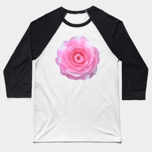 pink camellia flower Baseball T-Shirt